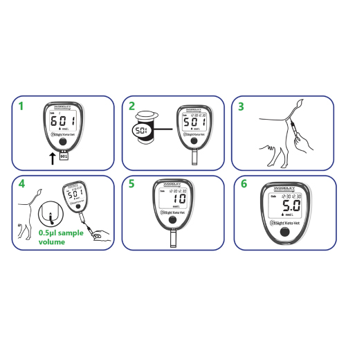 25 x teststreifen für InSight Keto Vet