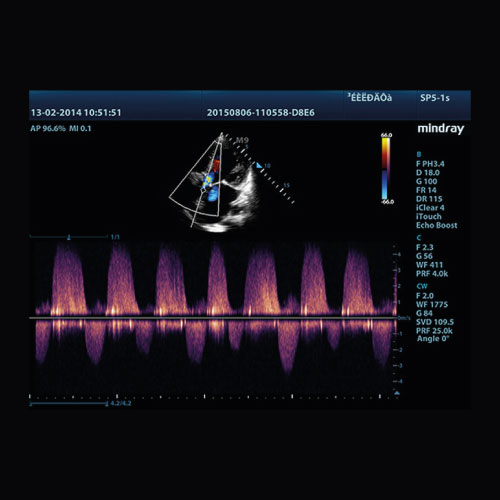 [VETUS5017] Pack Cardiologie